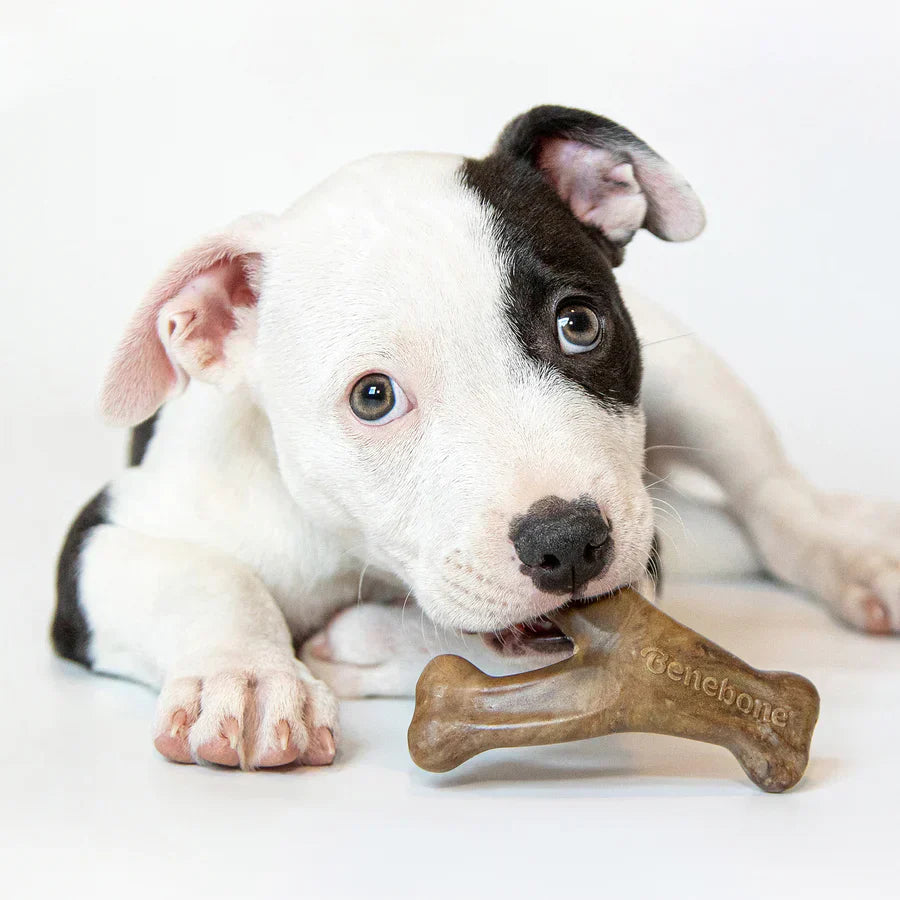 For Puppies
