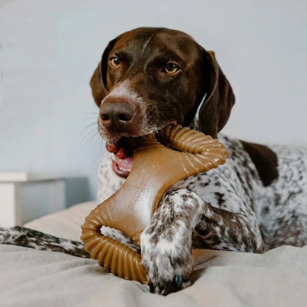 DENTAL CHEW