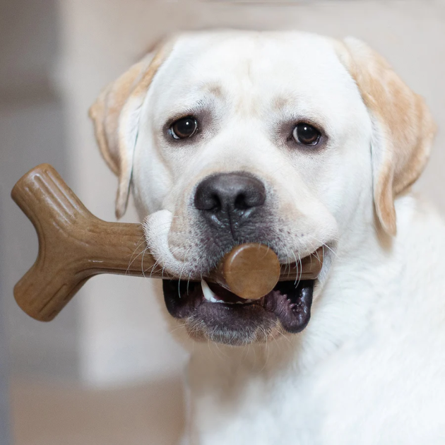 STICK