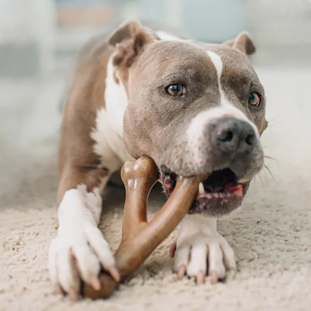 WISHBONE